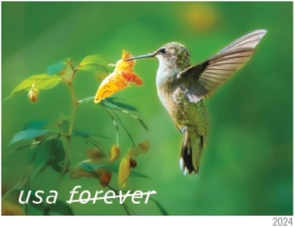 United States Postal Service Garden Delights (Booklet of 20) First-Class Mail Forever Postage Stamps Scott #5845-5848