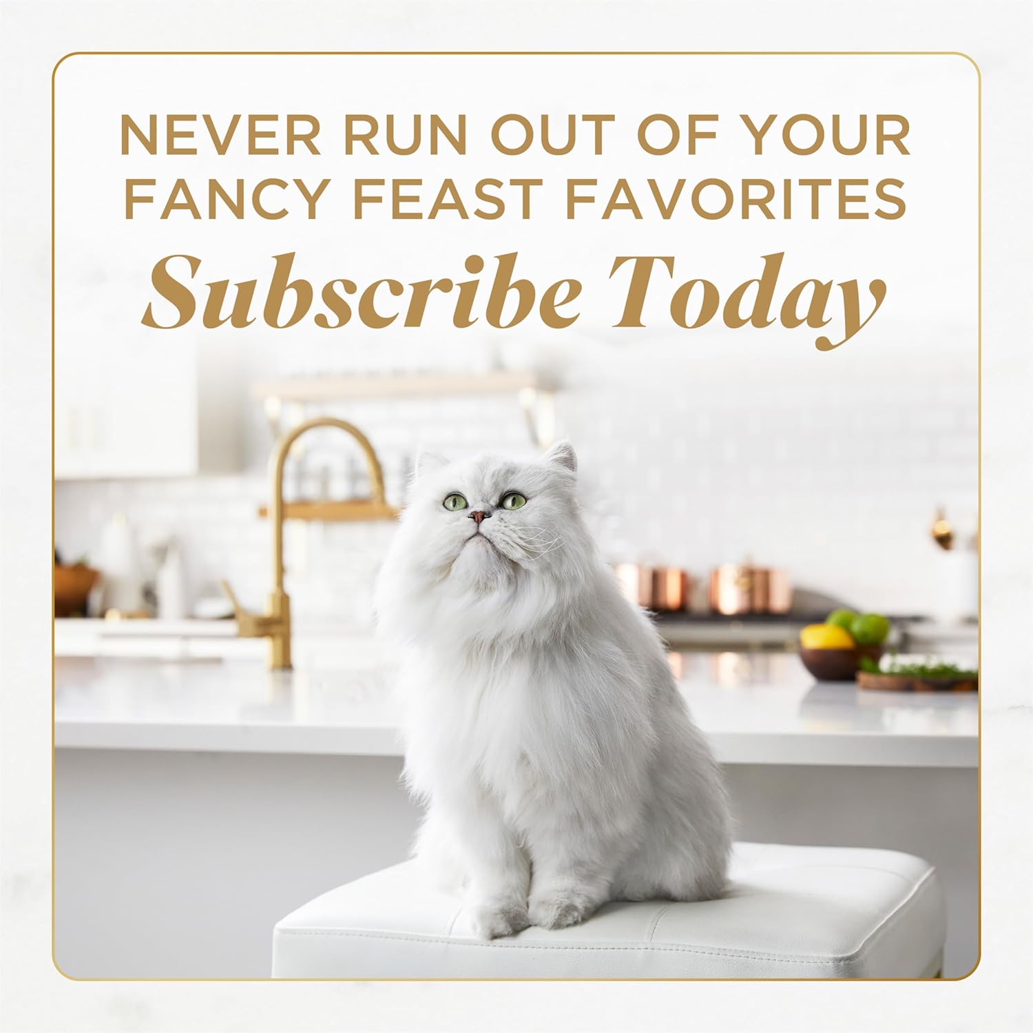 Purina Fancy Feast Gourmet Wet Cat Food Variety Pack, Petites Gravy Collection, break-apart tubs, 48 servings - (Pack of 24) 2.8 oz. Tubs