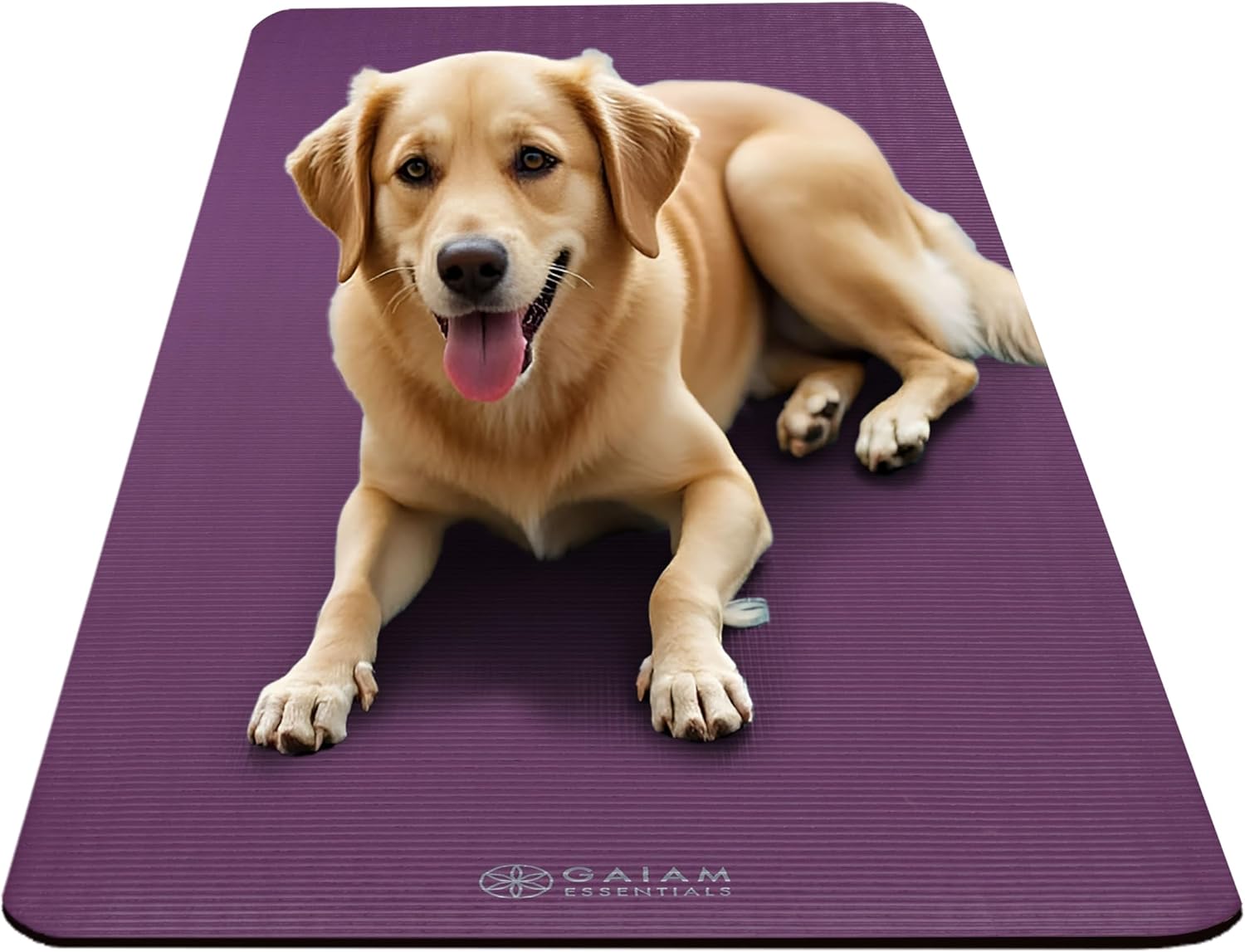 Gaiam Yoga Mat, Pilates & Exercise Mat, Thick 2/5" (10mm) Workout Mat with Easy-Cinch Carrying Strap for Home & Gym Workouts