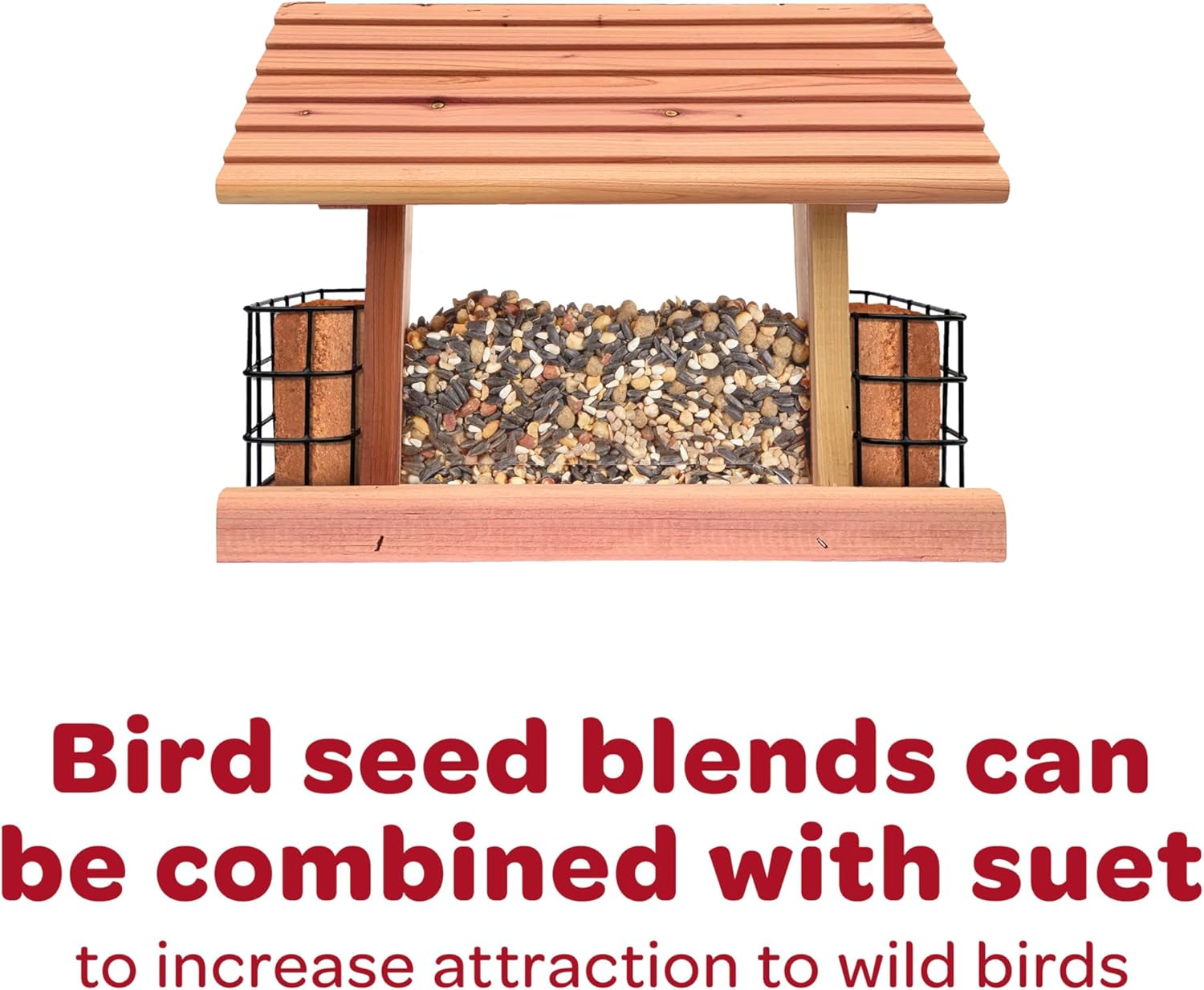 Kaytee All American Wild Bird Food Seed Blend for Cardinals, Blue Jays, Finches & Other Outdoor Wild Birds, 5 Pounds