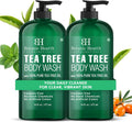 Botanic Hearth Tea Tree Body Wash 16 fl oz (2 Pack) Natural Antifungal & Odor Control Shower Gel for Acne, Athlete’s Foot, Ringworm, Jock Itch, Healthy Skin, Sulfate & Paraben Free, for Men & Women