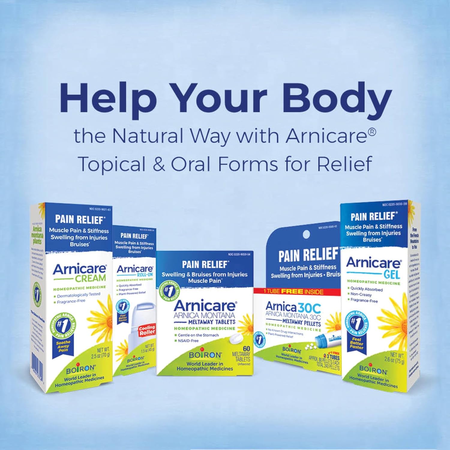 Boiron Arnica Montana 30C Homeopathic Medicine for Relief from Muscle Pain, Muscle Stiffness, Swelling from Injury, and Discoloration from Bruises - 3 Count (240 Pellets)