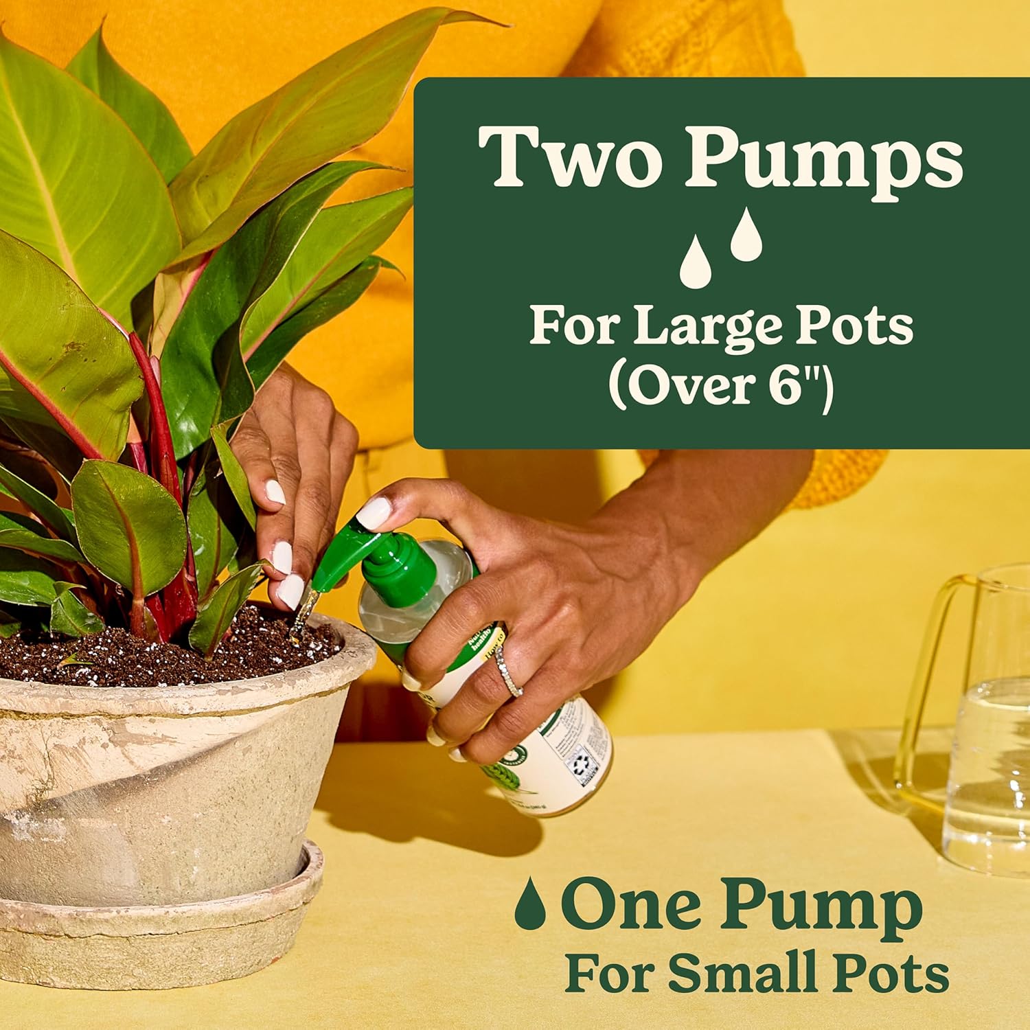 Miracle-Gro Indoor Plant Food for All Plants, Liquid Plant Food for Houseplants, Flowers, Vegetables, Herbs, and More, 8 fl. oz., 2-Pack