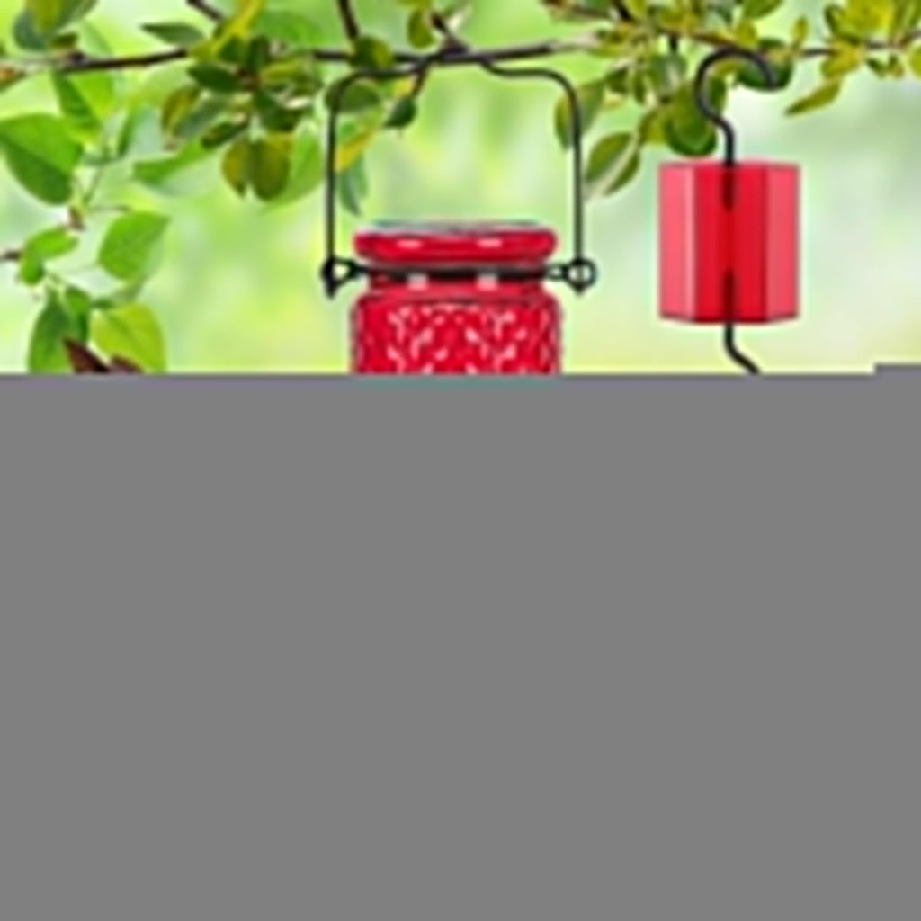 FEED GARDEN Glass Hummingbird Feeder, 16oz Outdoor Hanging Bird Feeder with Ant Moat, 4 Bee-Proof Feeding Ports, 360° Perch, Leak-Proof, Red