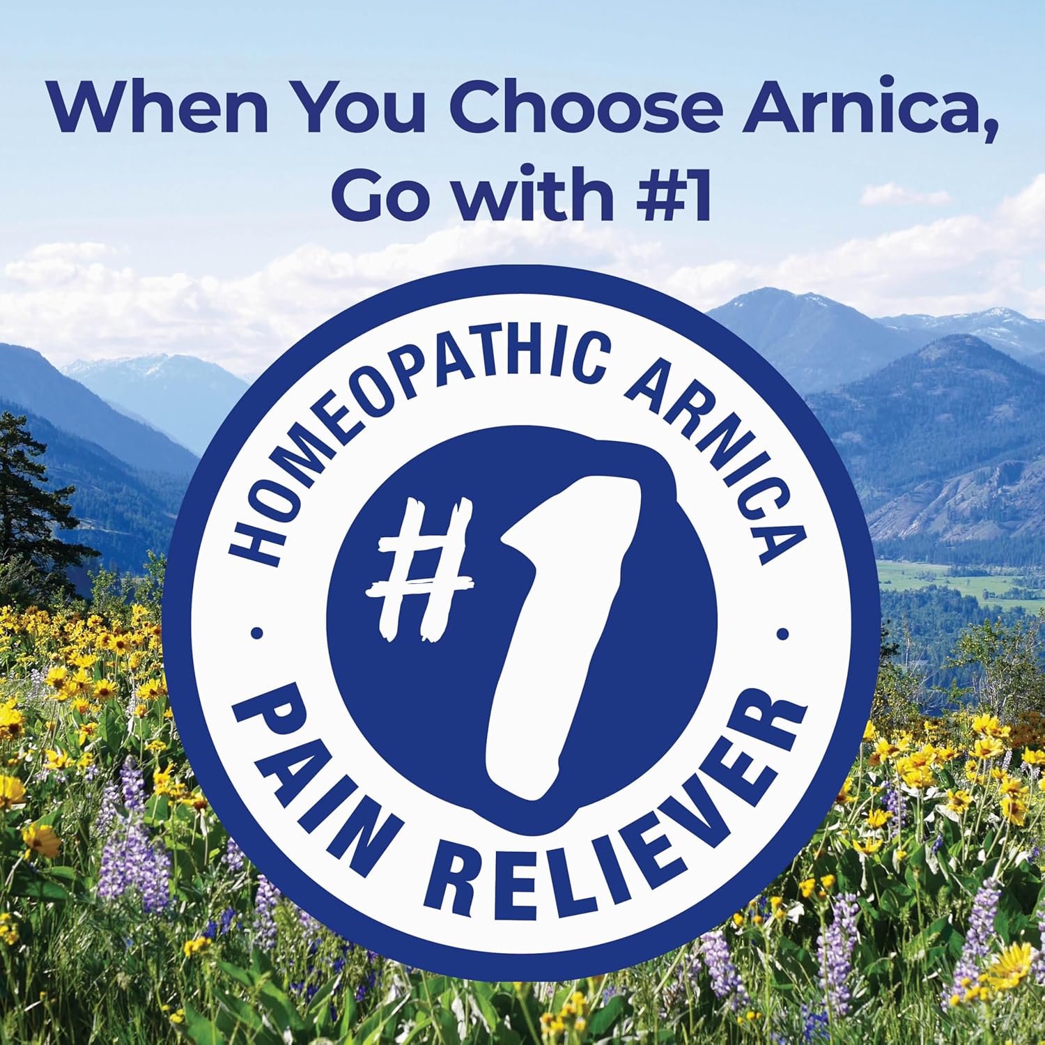 Boiron Arnica Montana 30C Homeopathic Medicine for Relief from Muscle Pain, Muscle Stiffness, Swelling from Injury, and Discoloration from Bruises - 3 Count (240 Pellets)
